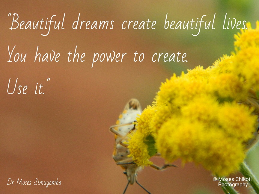 Dream Quotes to Help You Get Motivated And Inspired