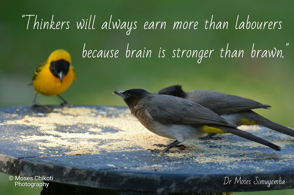 Inspirational Articles On Success and Achieveing Your Dreams