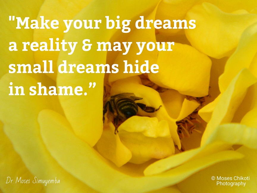 music quotes, dream quotes, quotes about dreams, dr moses simuyemba, motivation for dreamers