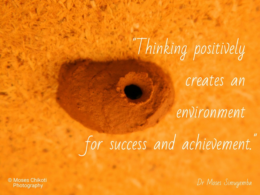 Encouraging Quotes About Positive Thinking