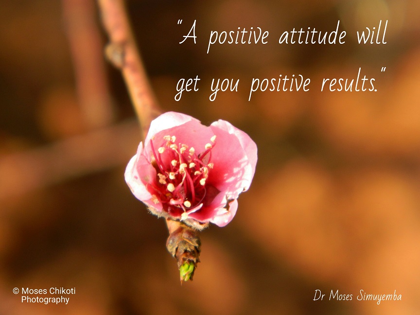 positive attitude quotes with images