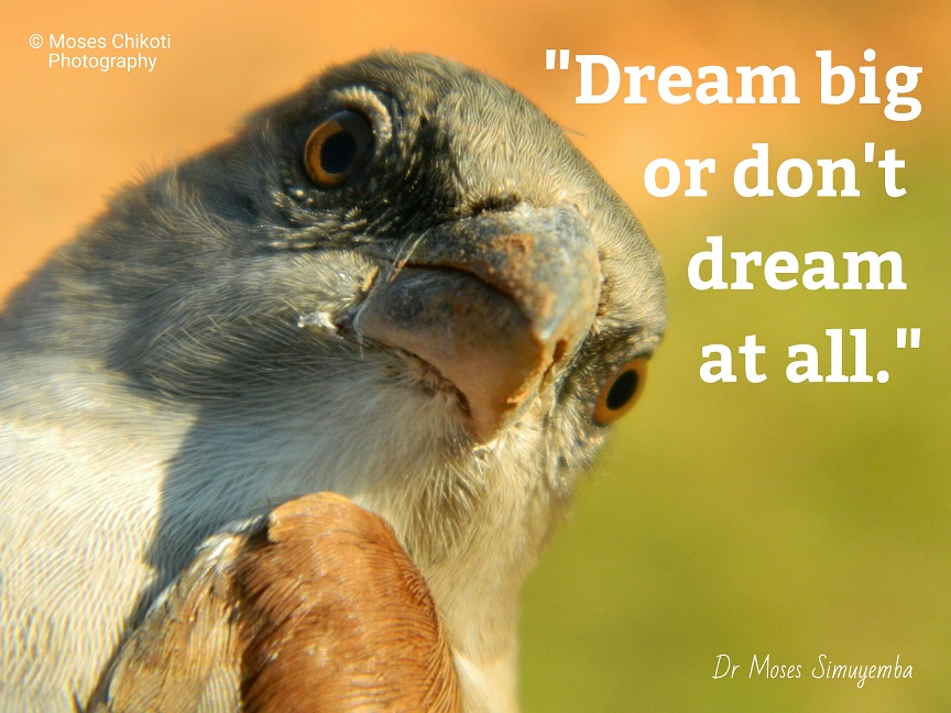 quotes about dreams, dream quotes, dr moses simuyemba, motivation for dreamers