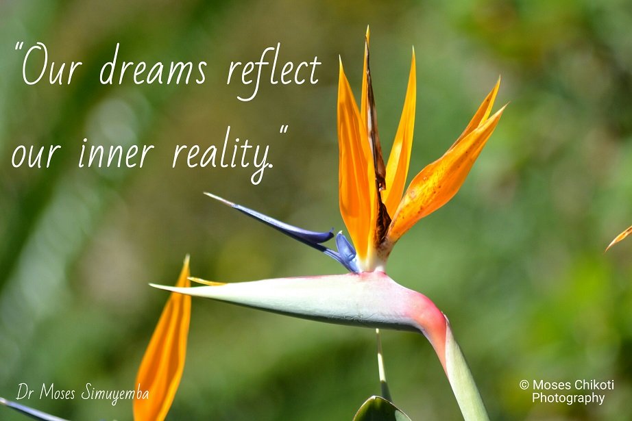 dreams quotations, dream quotes, dr moses simuyemba, motivation for dreamers