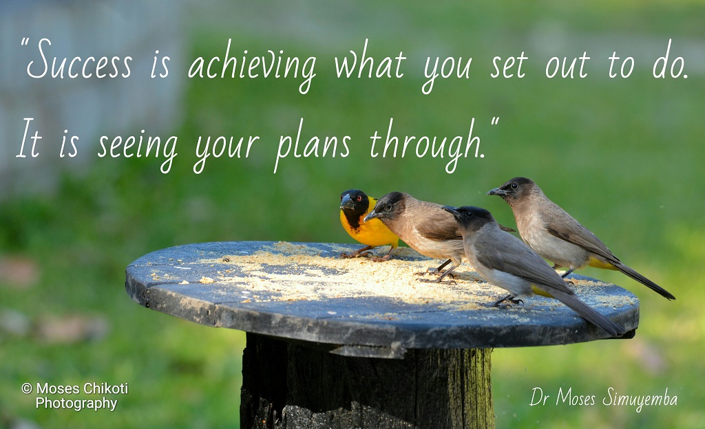 success quotations, quotations on success,